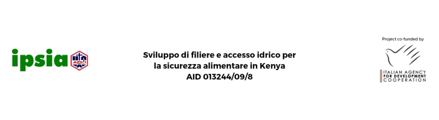 Program manager e coordinatore/trice progetto AICS