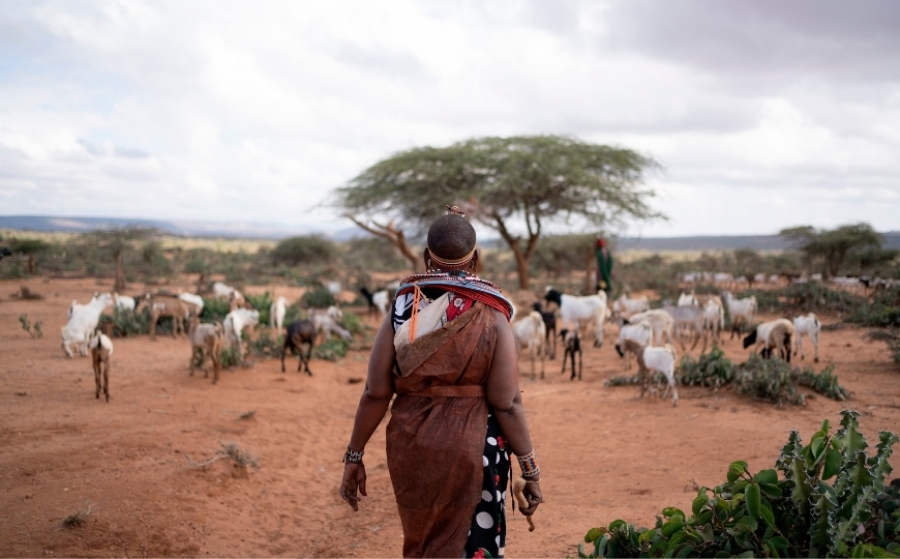 Laikipia: acqua, clima e convivenza in un territorio  sotto pressione